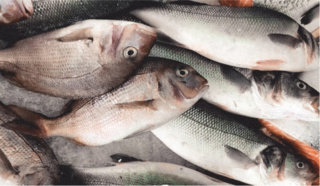 Ikan dan hasil laut